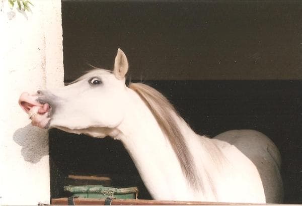 Le Col de Vence depuis Fort Apache
