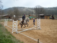 Competitions & disciplines